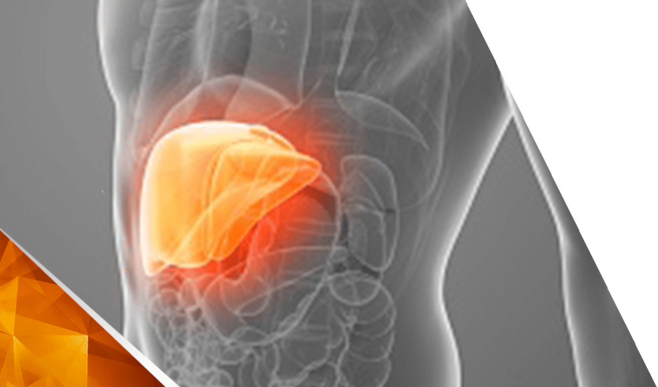 Causes and treatment to handle Alcoholic liver diseases